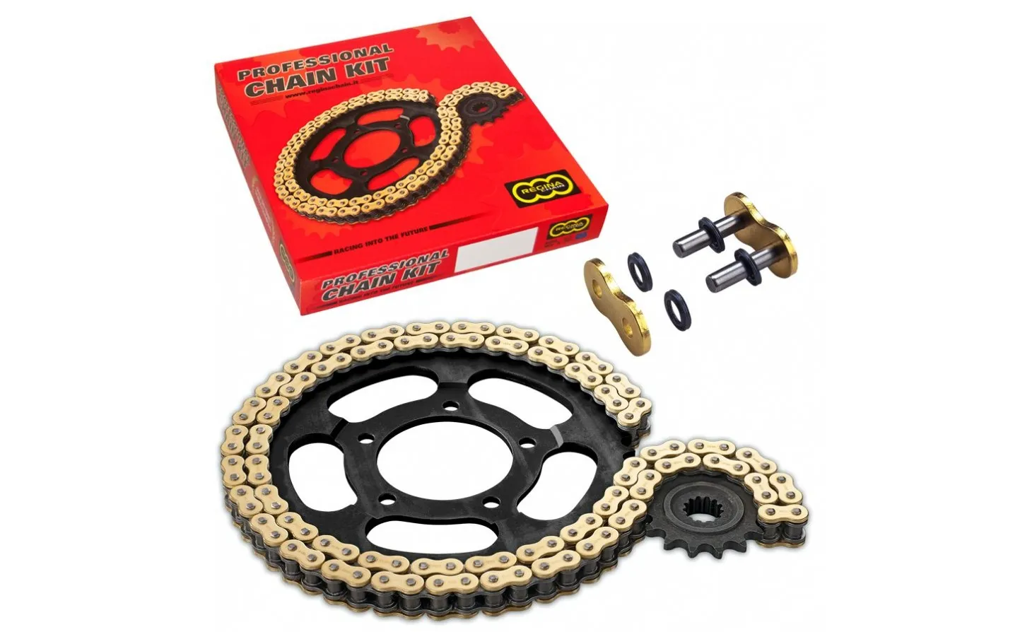 520 ORN6 Chain And Sprocket Kit Regina /12300394/
