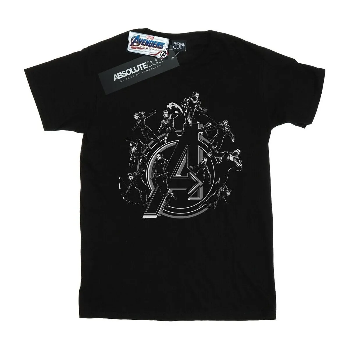 Avengers Endgame Hero Circle