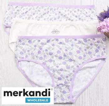 Consigue bragas de mujer de moda en un pack de 3 con colores mixtos para la venta al por mayor desde Turquía, hechas de algodón 