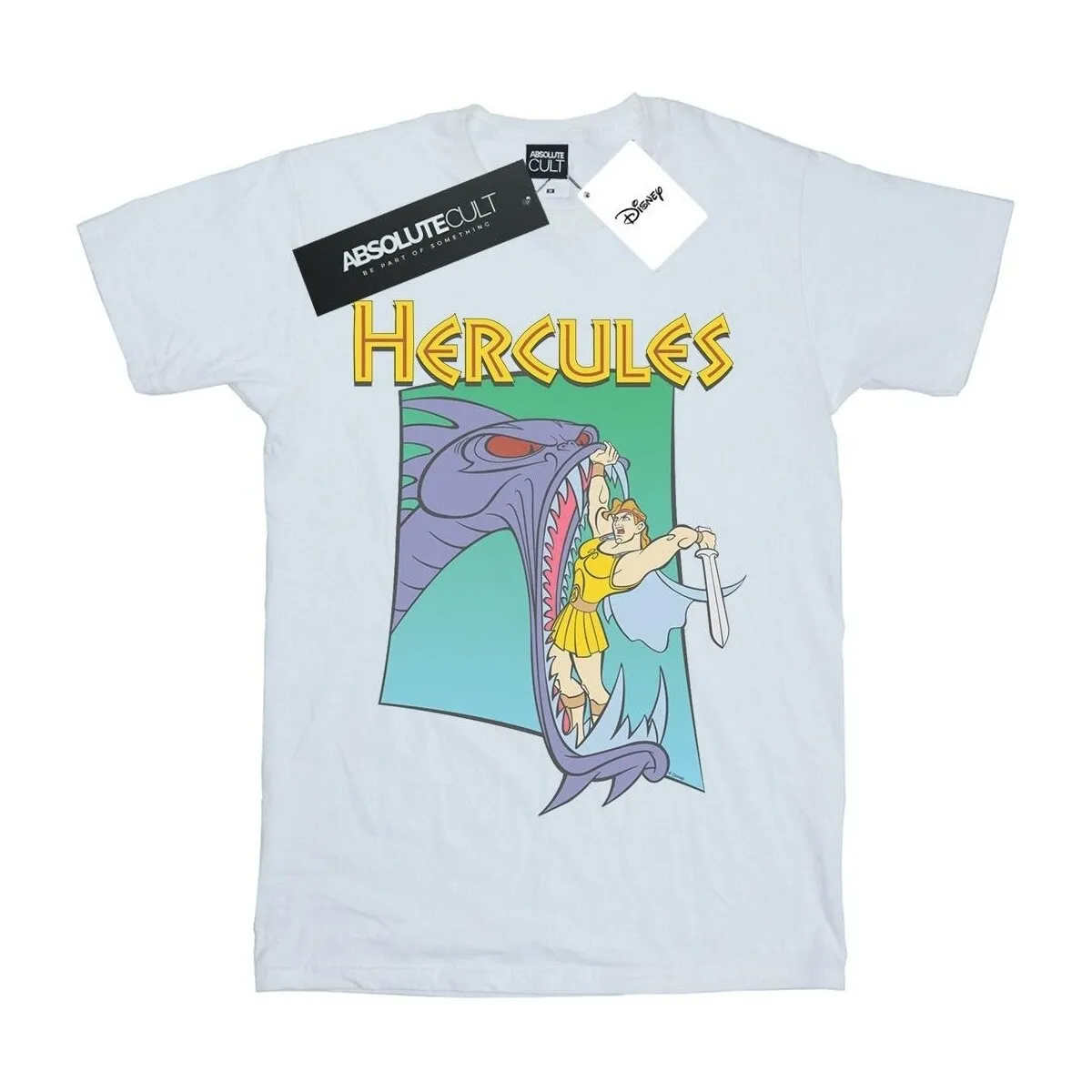 Hercules Hydra Fight