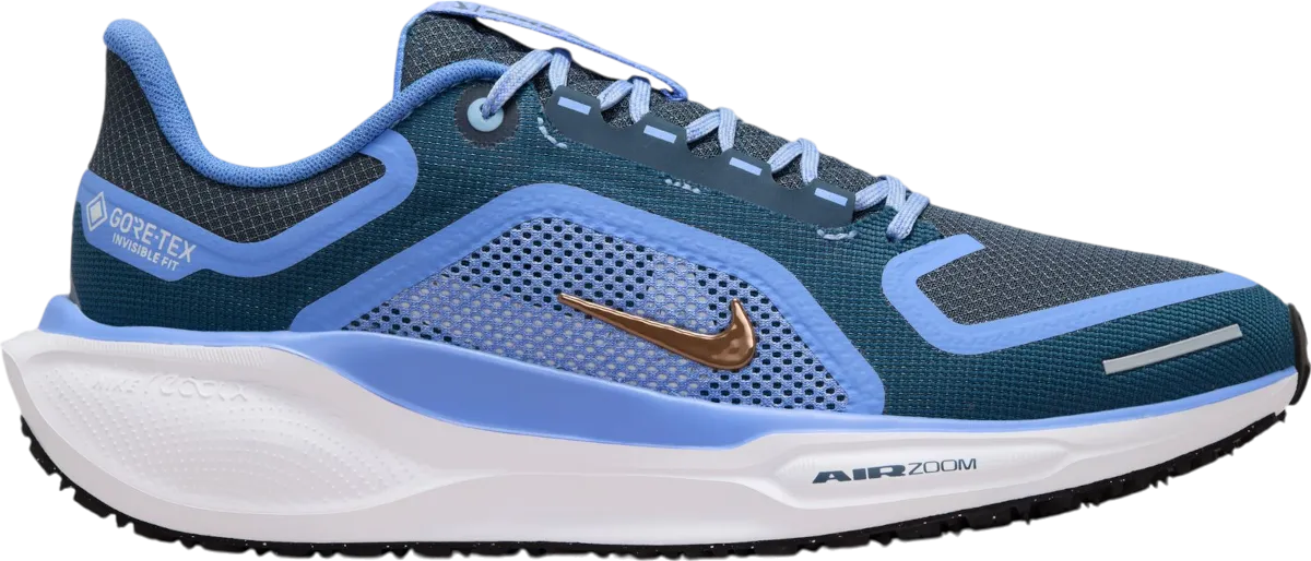 NIKE PEGASUS 41 GORETEX