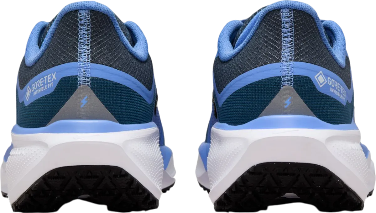 NIKE PEGASUS 41 GORETEX