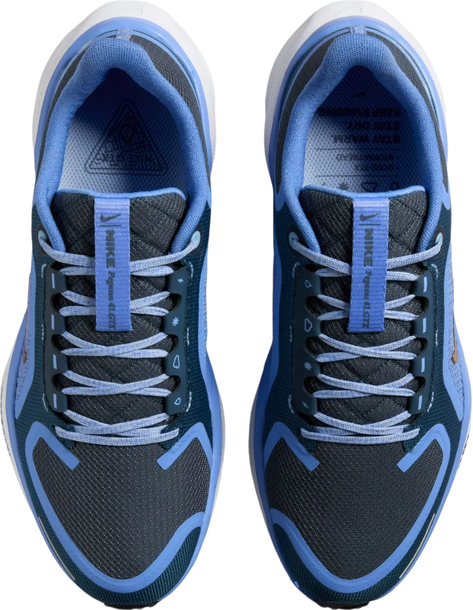 NIKE PEGASUS 41 GORETEX