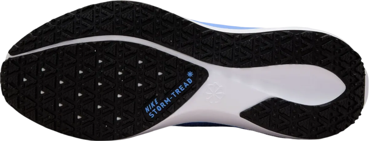 NIKE PEGASUS 41 GORETEX