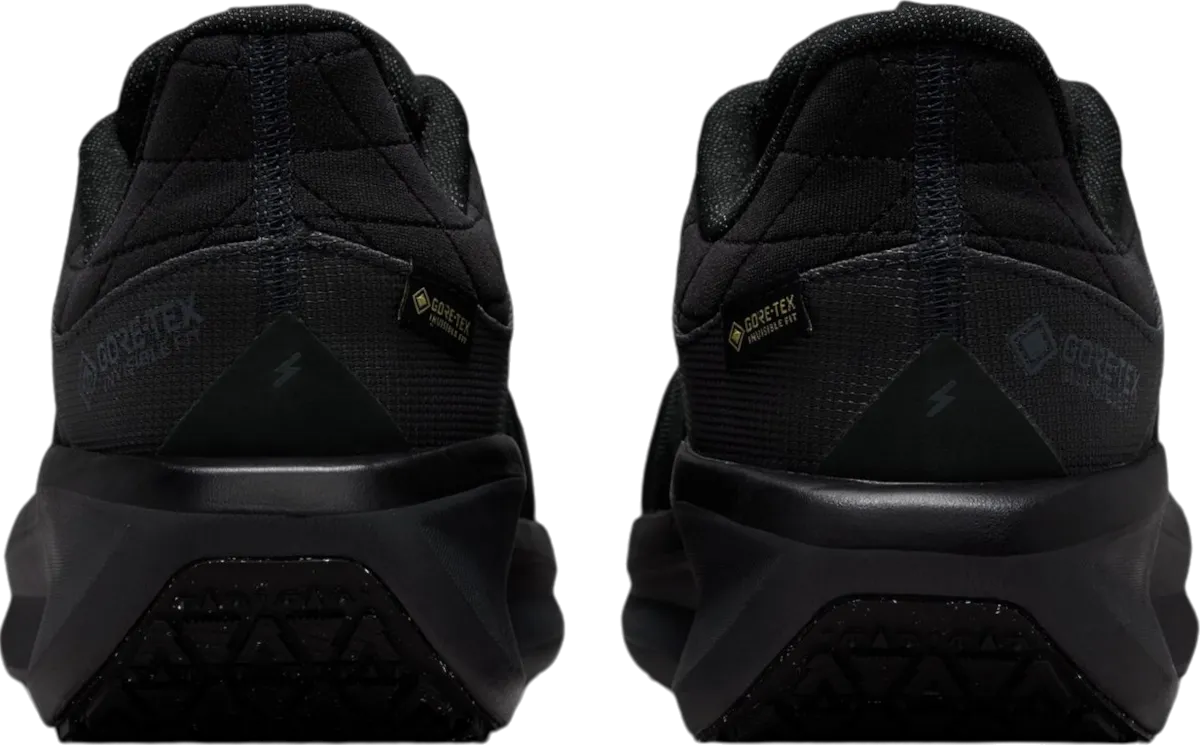 NIKE WINFLO 11 GORETEX