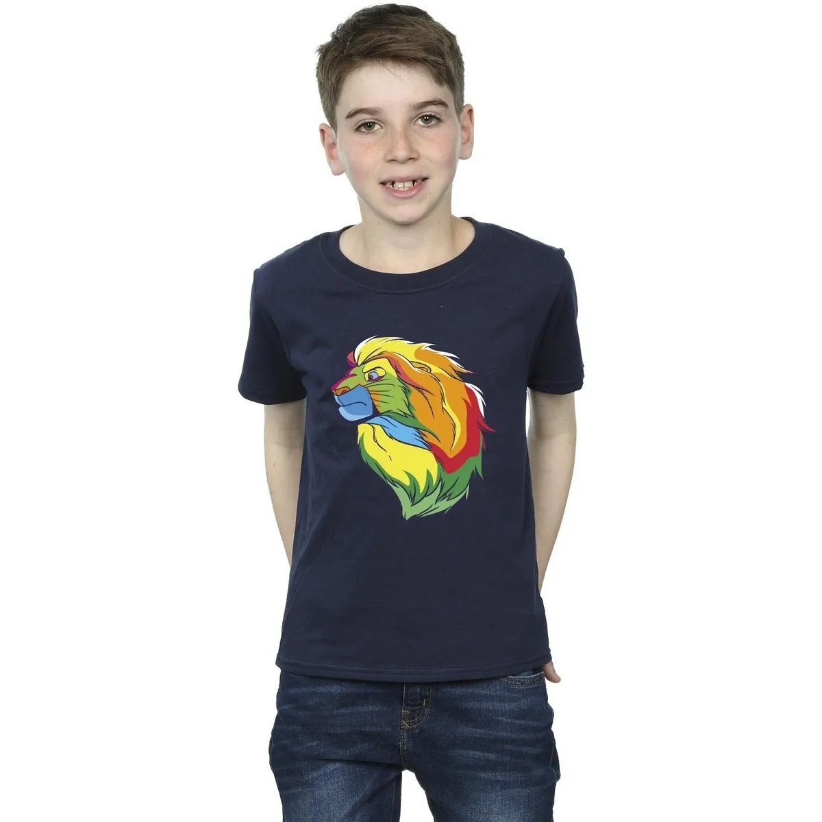 The Lion King Colours