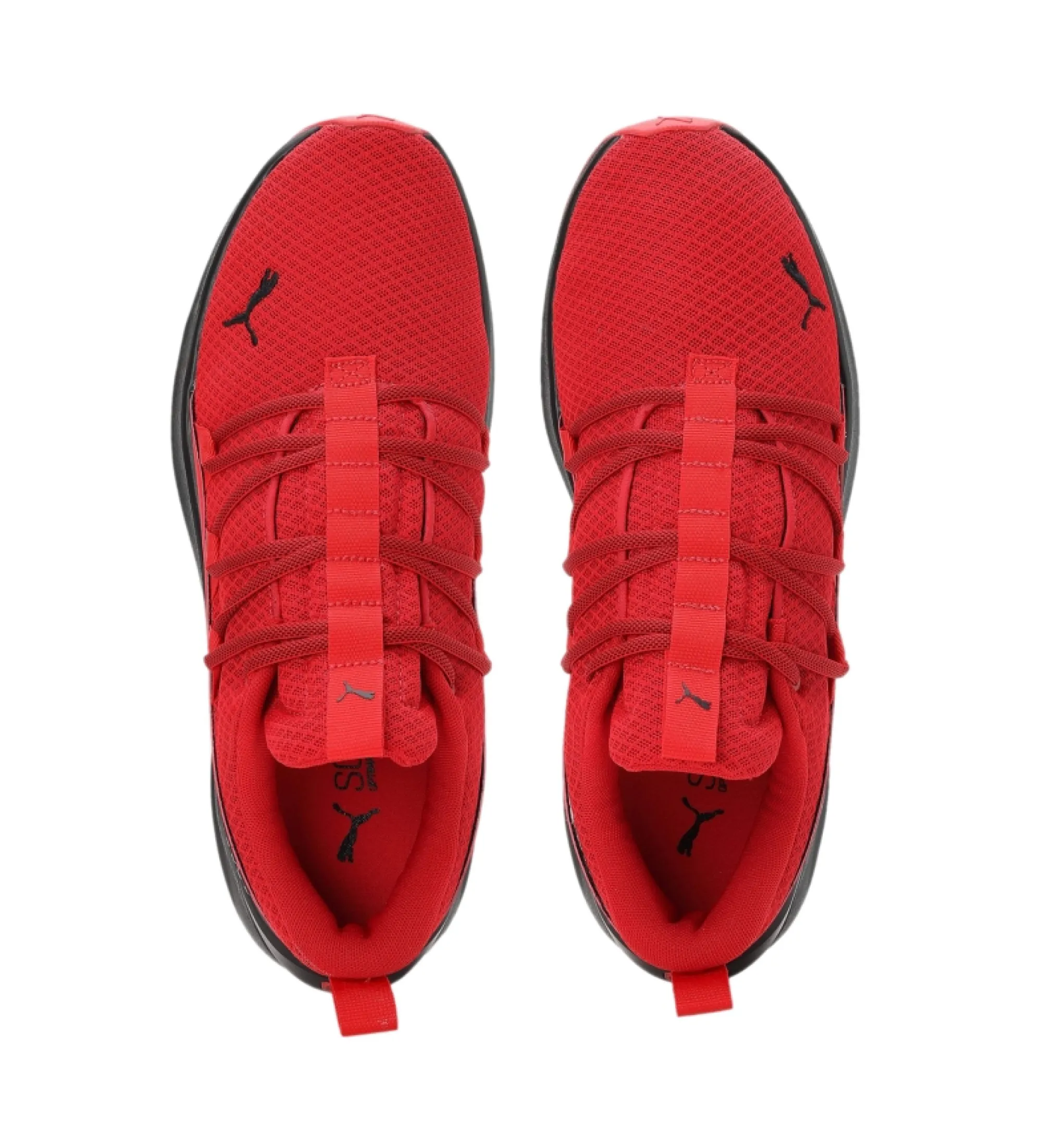 Zapatillas Softride One4all rojo